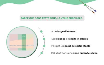 Pourquoi la zone verte de la méthode ZIM est-elle idéale pour l’insertion d’un PICC ?