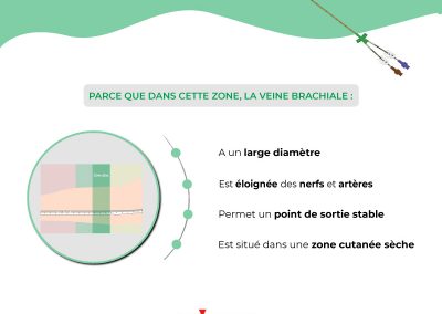 Pourquoi la zone verte de la méthode ZIM est-elle idéale pour l’insertion d’un PICC ?