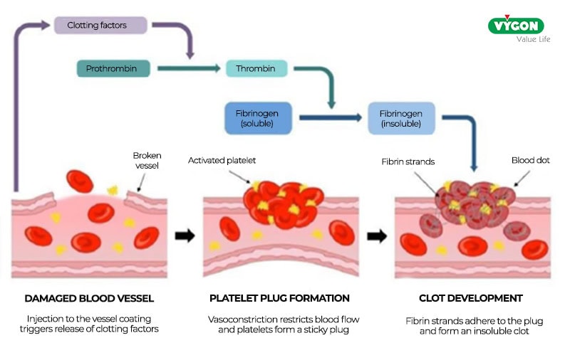 Thrombus-formation