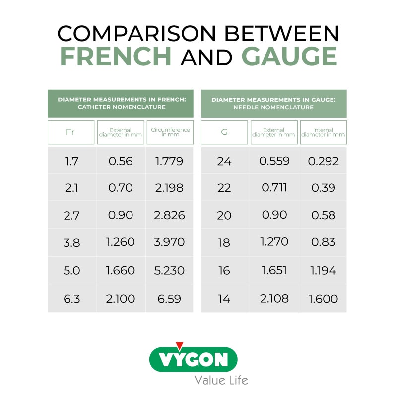 Comparison Between French And Gauge Campus Vygon Global