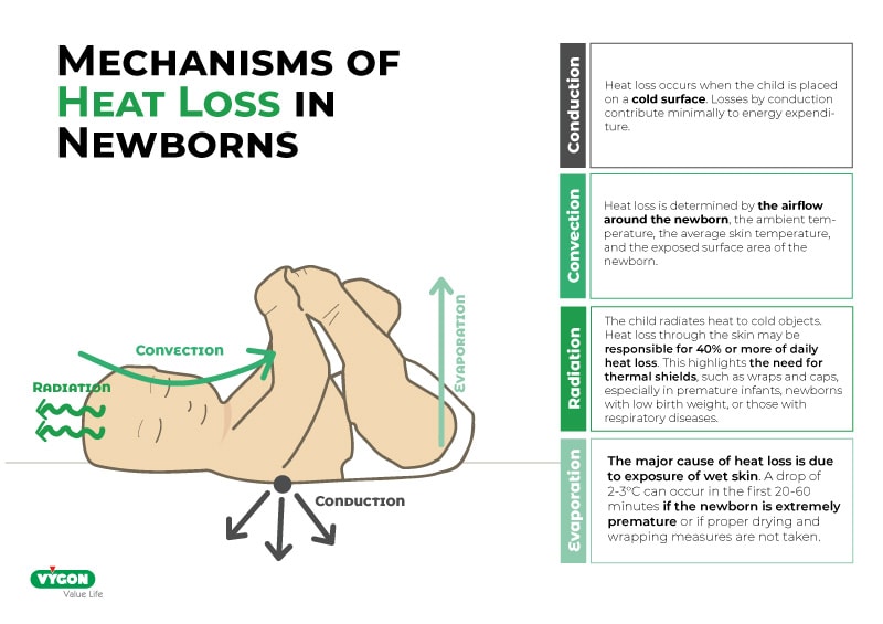 Mechanisms of heat loss in newborns