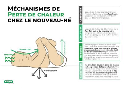 Mécanismes de perte de chaleur chez le nouveau-né