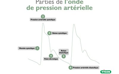 Parties de l’onde de pression artérielle