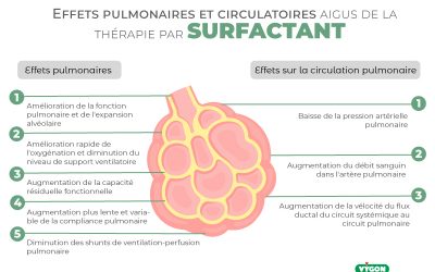 Effets pulmonaires et circulatoires aigus de la thérapie par surfactant