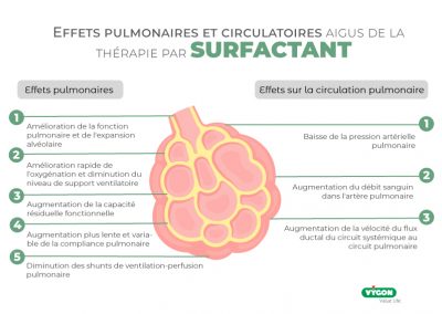 Effets pulmonaires et circulatoires aigus de la thérapie par surfactant