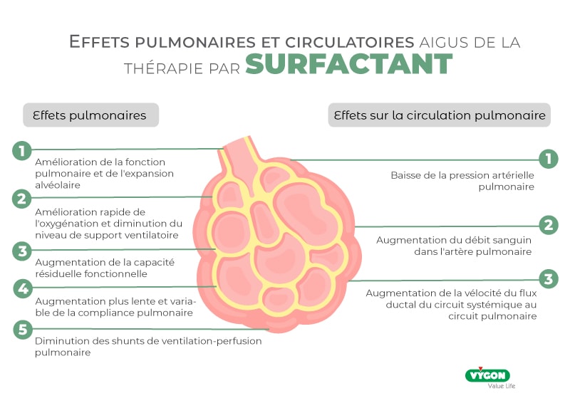 Effets-du-surfactant