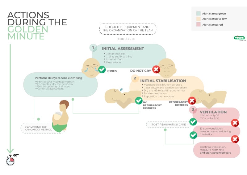 EN---Actions-during-the-Golden-Minute