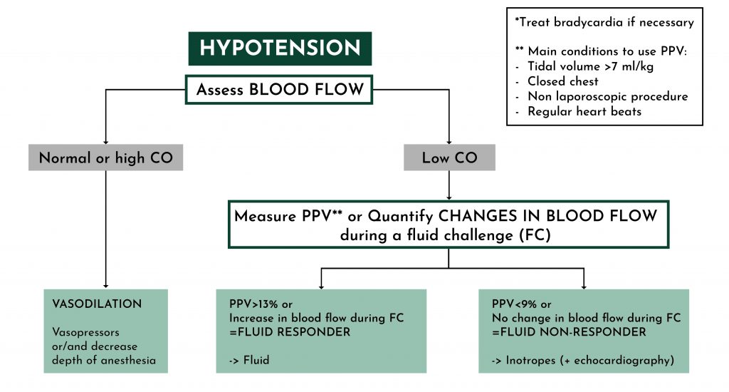 Rational hemodynamic management from blood pressure and blood flow monitoring