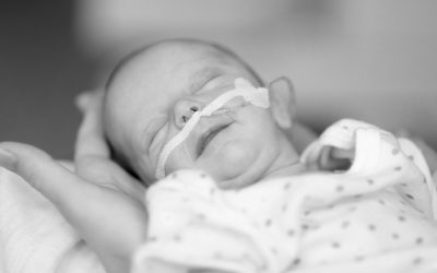 Enteral nutrition in neonates: choosing a safe and specific system that avoids connection errors