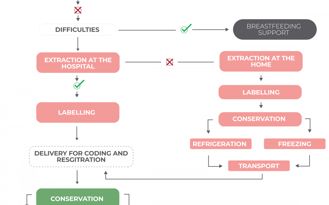 Flow chart breastfeeding plan