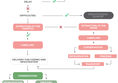 Flow chart breastfeeding plan