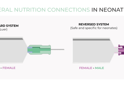 Enteral nutrition connections in neonates