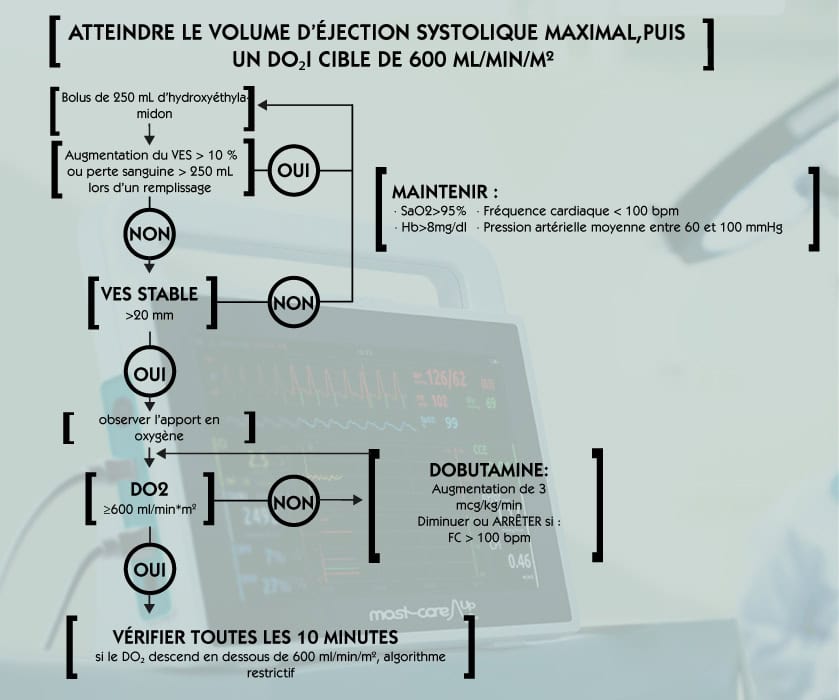 Algorithme décisionnel de réanimation hémodynamique visant à atteindre un volume d’éjection systolique maximal puis un apport en oxygène indexé (DO₂i) cible de 600 ml/min/m². Le schéma détaille l’utilisation de bolus de remplissage, l’évaluation de l’augmentation du VES, l’ajustement de la dobutamine, les critères cliniques et hémodynamiques de poursuite ou d’arrêt du traitement, ainsi que la surveillance régulière du débit d’oxygène pour guider une stratégie restrictive ou de maintien.