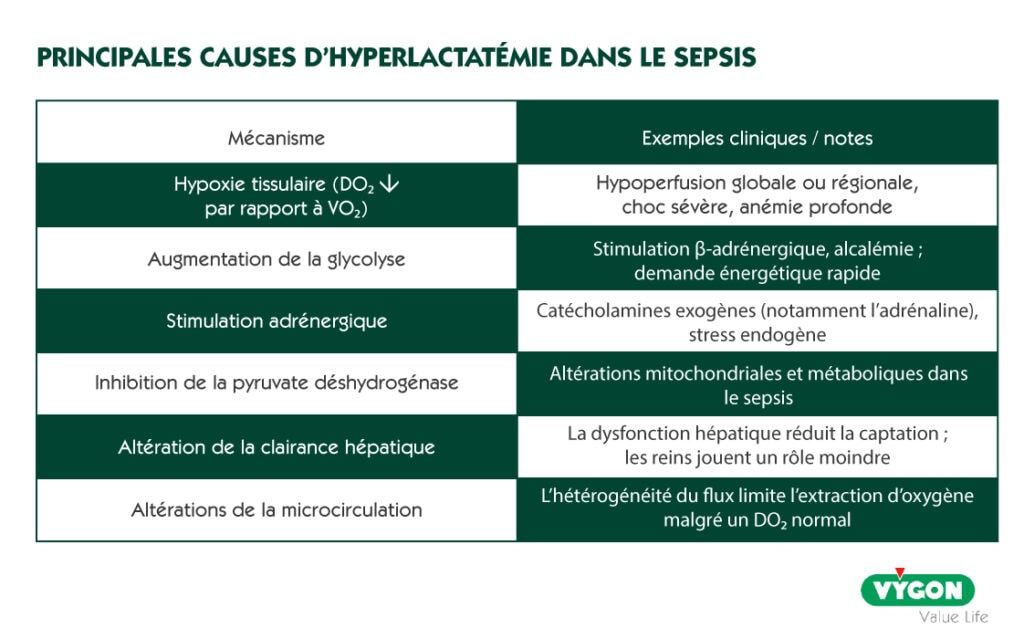 Tableau synthétique présentant les principales causes d’hyperlactatémie dans le sepsis, incluant l’augmentation de la glycolyse liée à l’hypoperfusion, la stimulation adrénergique endogène ou exogène, l’inhibition de la pyruvate déshydrogénase, l’altération de la clairance hépatique et les troubles de la microcirculation, avec des exemples cliniques tels que le choc septique, l’hypoxie tissulaire et les dysfonctionnements métaboliques.