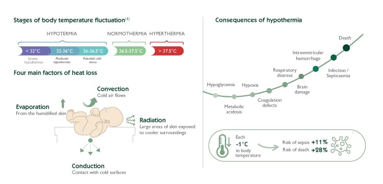 Infographic explaining Optimal Thermal Control of the Newborn, detailing temperature ranges from hypothermia to hyperthermia, the four mechanisms of neonatal heat loss—evaporation, convection, radiation, and conduction—and the clinical consequences of hypothermia such as metabolic acidosis, respiratory distress, brain damage, and increased risk of sepsis.