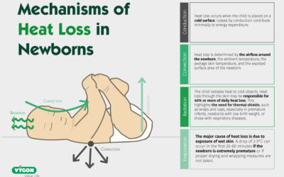 Mechanisms of heat loss in newborns
