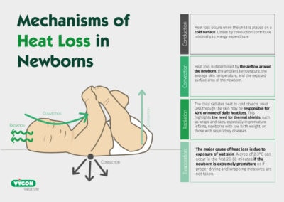Mechanisms of heat loss in newborns
