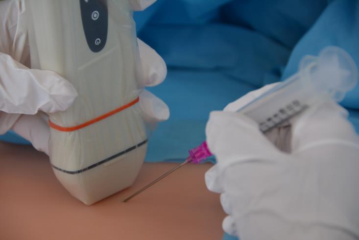 Ultrasound‑guided needle insertion for central venous access.