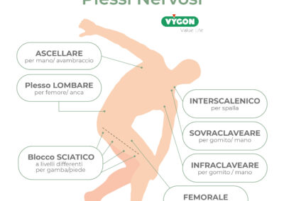 Principali Plessi Nervosi