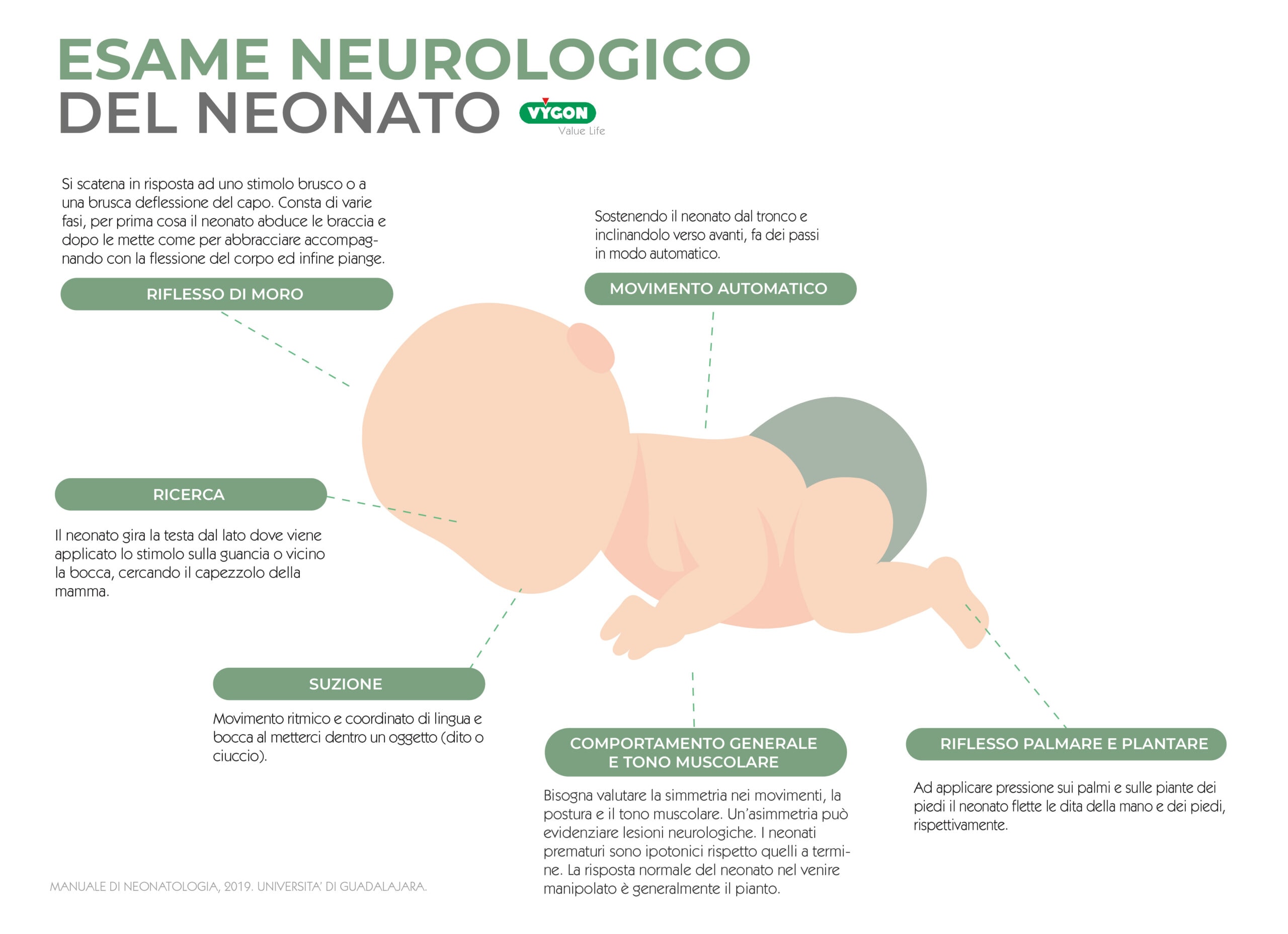 Esame neurologico del neonato Campus Vygon Italia