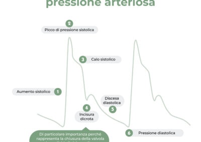 Fasi dell’onda di pressione arteriosa