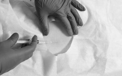Blocchi di fascia e di parete: parete addominale