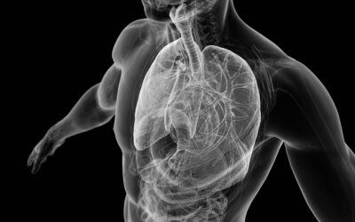 Aspirazione tracheobronchiale: il giusto approccio per mantenere pervie le viee aeree 