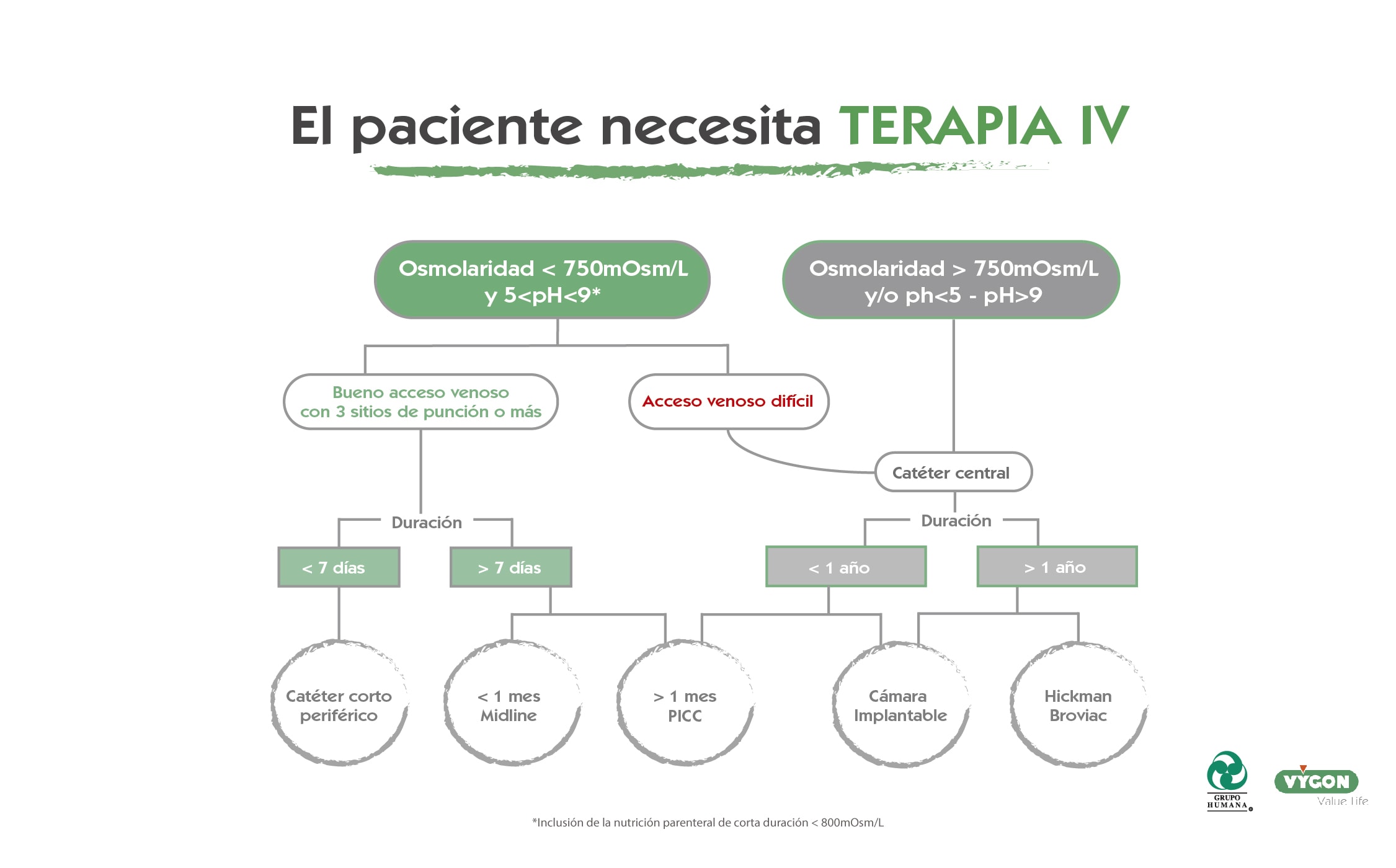 infografias-campus-vygon-m-xico