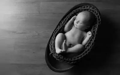 Optimal Thermal Control of the Newborn in Transport Settings