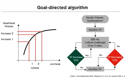 Fluid Therapy: Goal Directed Algorithm