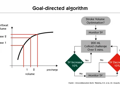 Fluid Therapy: Goal Directed Algorithm