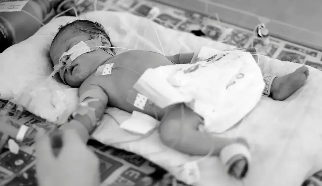 Life of a Longline Catheter Guide