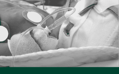 Article 3: Safe Removal of a Longline Catheter in Neonates: Best Practice and Evidence-Based Guidance