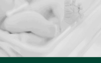 Article 2: Best Practice for Caring for a Longline Catheter: Maintaining Safety and Reducing Complications