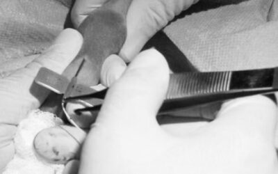 Can Neonatal PICCs Be Cut to Length? A Review of Risks, Evidence, and Practical Alternatives