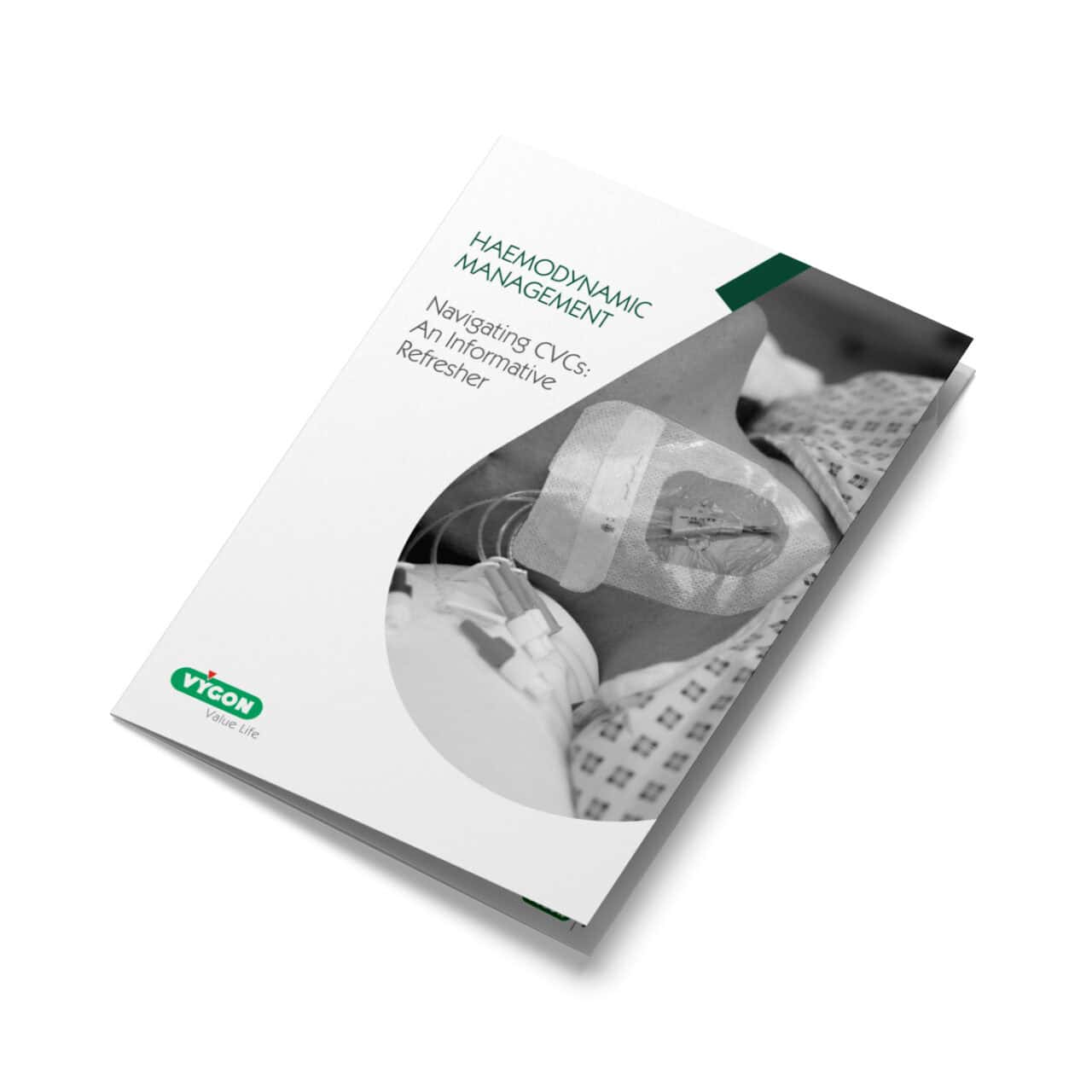 Comprehensive Cvc Navigating CVCs: An Informative Refresher - Campus Vygon UK