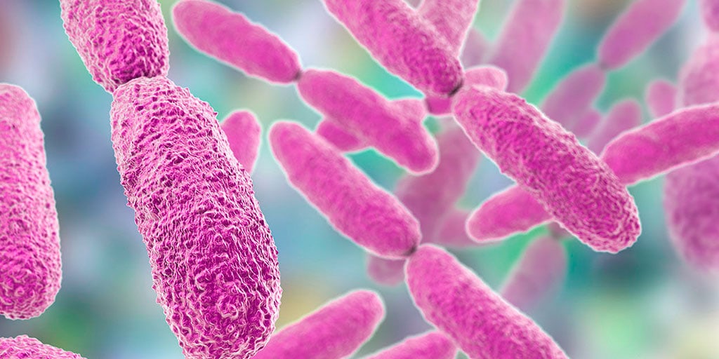 Superbacterias, una amenaza para la salud mundial