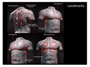 Imagen 3: Representación esquemática de las referencias anatómicas del tórax. Soldati et al. 2020. 