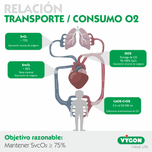 relación transporte/consumo o2
