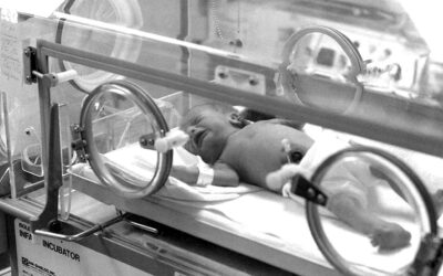 Signos de Alarma en el neonato: factores de riesgo, patologías y cómo actuar
