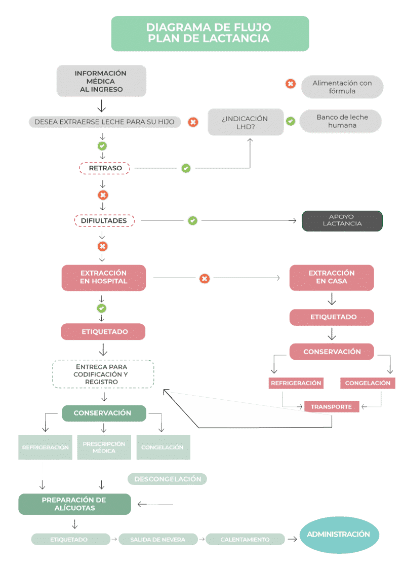 Diagrama de flujo: plan de lactancia