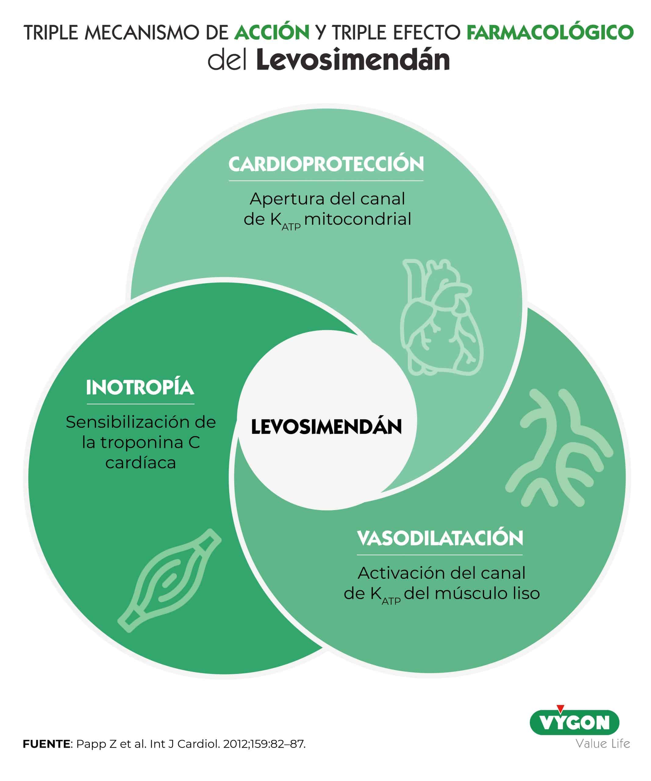 Figura 3: Triple mecanismo de acción y triple efecto farmacológico del Levosimendán [18].