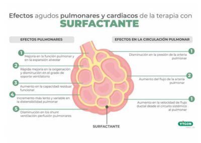 Efectos agudos pulmonares y cardiacos de la terapia con surfactante