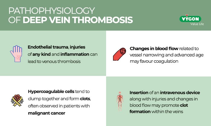 Pathophysiology-of-deep-vein-thrombosis