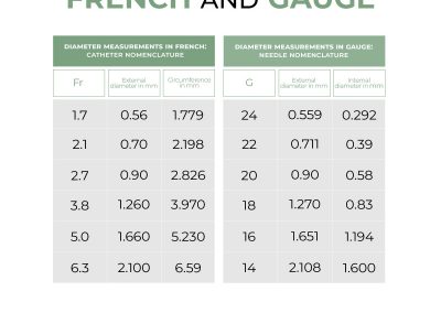 Comparison between french and gauge