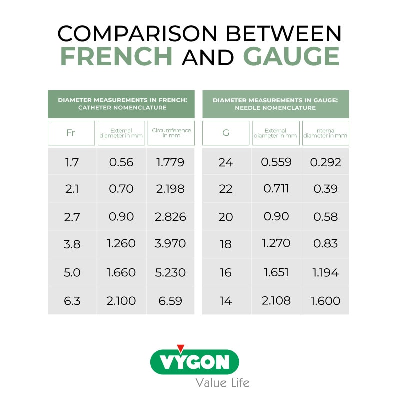 Comparison-between-french-and-gauge