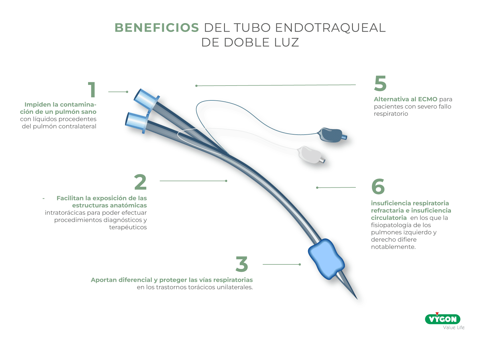 partes del tubo endotraqueal