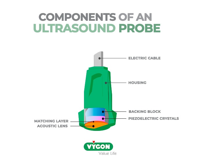 Components-of-an-ultrasound-probe