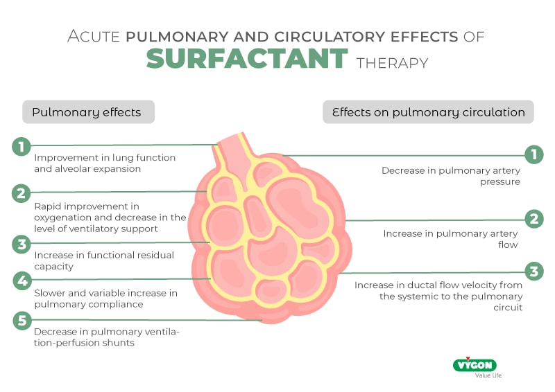 Acute pulmonary and circulatory effects of surfactant therapy