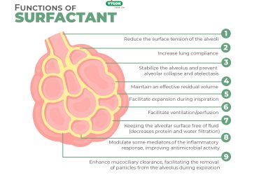 Functions of surfactant